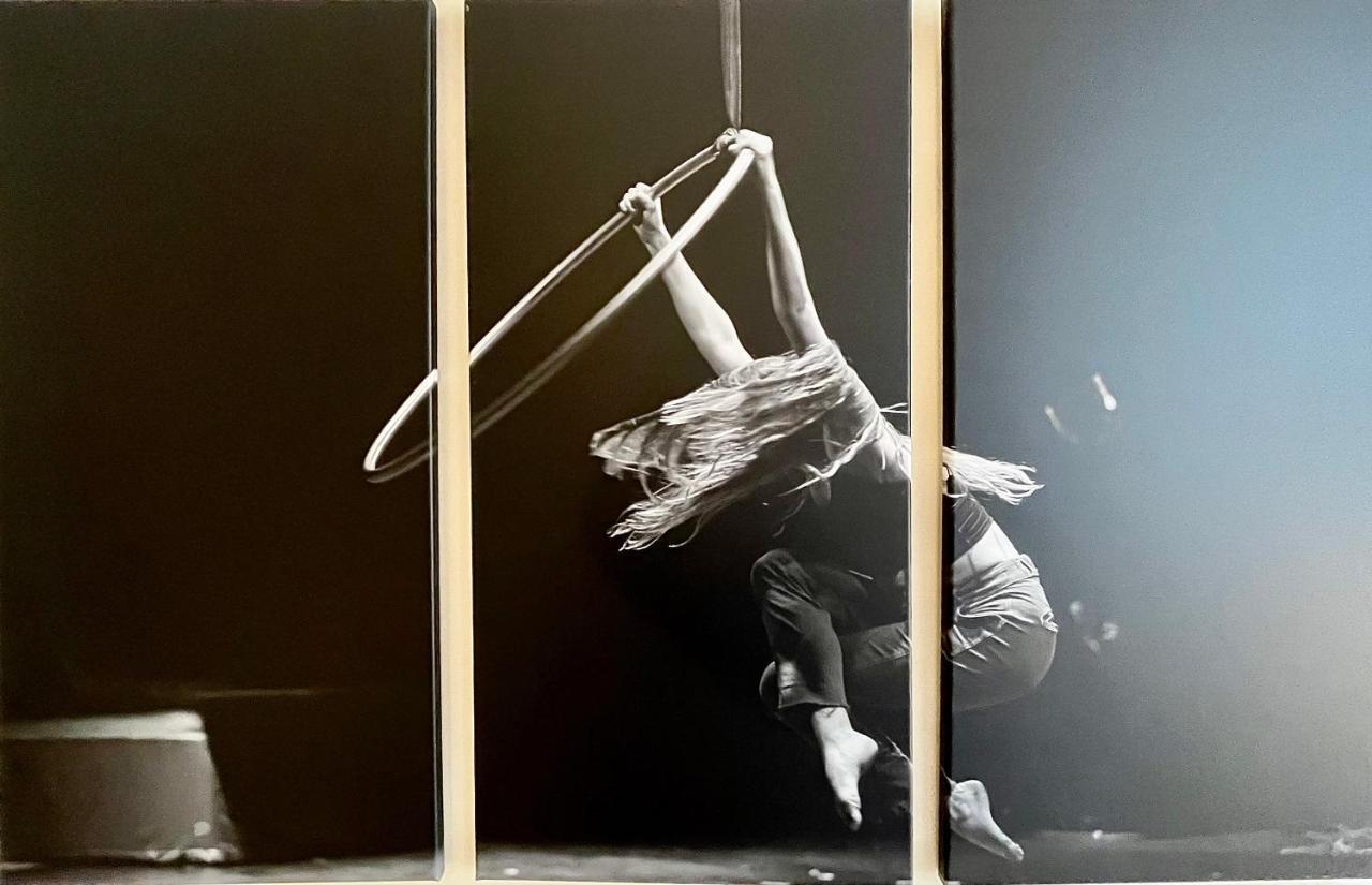 ** El Circo ** Lägenhet Reims Exteriör bild